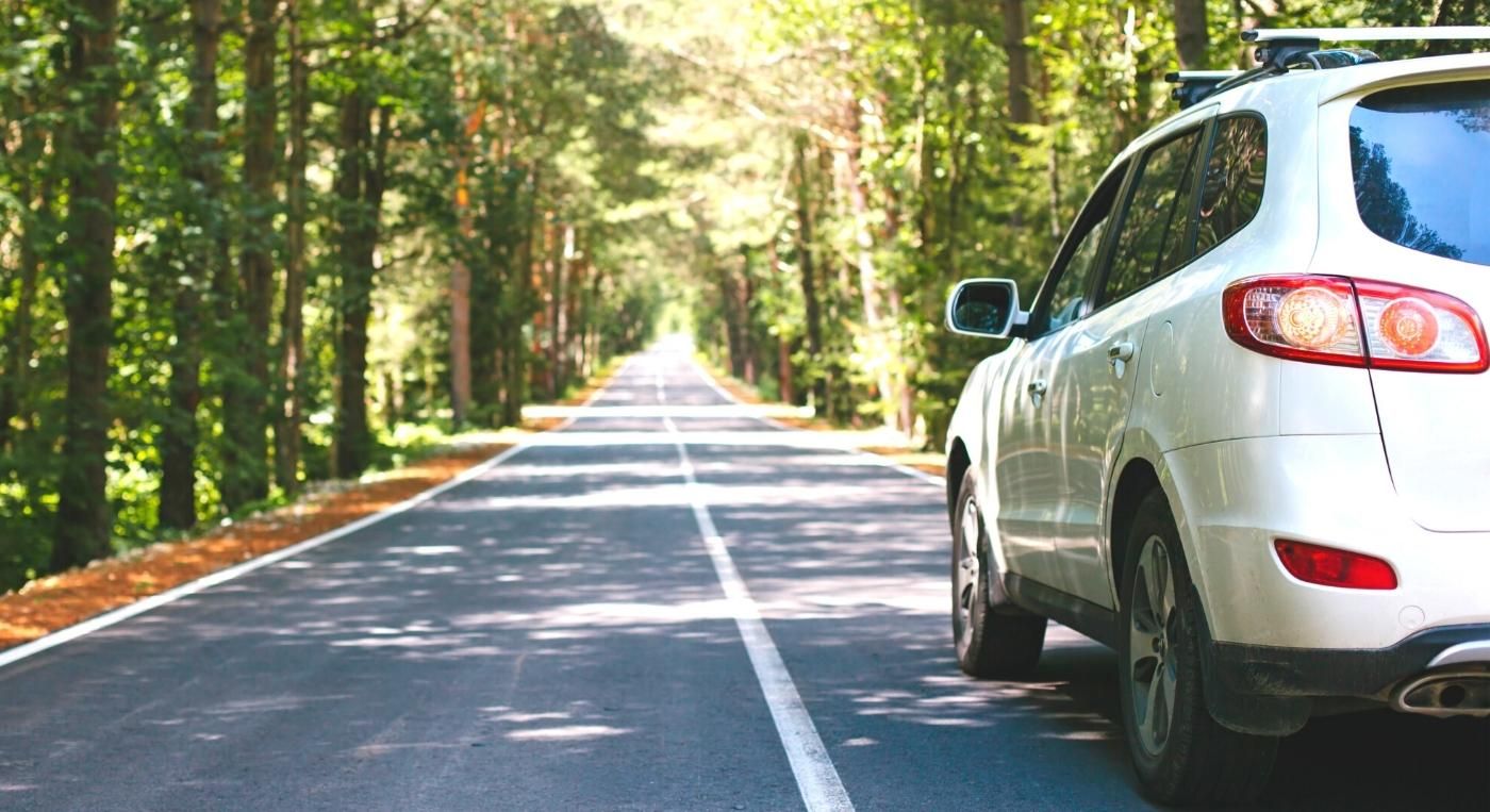 Foto de un auto circulando por una carretera rodeado de árboles haciendo referencia a las llanteras eco-friedly.